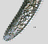  ( - NID-N1057)  @11 [ ] CreativeCommons - Attribution Non-Commercial (2017) Tom Powers University of Nebraska