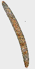  ( - NID-N1096)  @11 [ ] CreativeCommons - Attribution Non-Commercial (2017) Tom Powers University of Nebraska