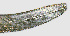  ( - NID-N1100)  @11 [ ] CreativeCommons - Attribution Non-Commercial (2017) Tom Powers University of Nebraska