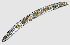  ( - NID-N1101)  @11 [ ] CreativeCommons - Attribution Non-Commercial (2017) Tom Powers University of Nebraska