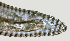  ( - NID-N1154)  @11 [ ] CreativeCommons - Attribution Non-Commercial (2017) Tom Powers University of Nebraska