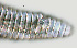  ( - NID-N1154)  @11 [ ] CreativeCommons - Attribution Non-Commercial (2017) Tom Powers University of Nebraska