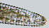  ( - NID-N1167)  @11 [ ] CreativeCommons - Attribution Non-Commercial (2017) Tom Powers University of Nebraska