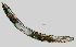  ( - NID-N1169)  @11 [ ] CreativeCommons - Attribution Non-Commercial (2017) Tom Powers University of Nebraska