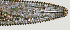  ( - NID-N1169)  @11 [ ] CreativeCommons - Attribution Non-Commercial (2017) Tom Powers University of Nebraska