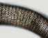  ( - NID-N1176)  @11 [ ] CreativeCommons - Attribution Non-Commercial (2017) Tom Powers University of Nebraska