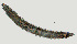  ( - NID-N1208)  @11 [ ] CreativeCommons - Attribution Non-Commercial (2017) Tom Powers University of Nebraska