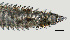  ( - NID-N1208)  @11 [ ] CreativeCommons - Attribution Non-Commercial (2017) Tom Powers University of Nebraska