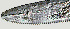  ( - NID-N1250)  @11 [ ] CreativeCommons - Attribution Non-Commercial (2017) Tom Powers University of Nebraska
