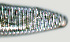  ( - NID-N1253)  @11 [ ] CreativeCommons - Attribution Non-Commercial (2017) Tom Powers University of Nebraska