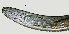  ( - NID-N1254)  @11 [ ] CreativeCommons - Attribution Non-Commercial (2017) Tom Powers University of Nebraska