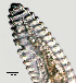  ( - NID-N1257)  @11 [ ] CreativeCommons - Attribution Non-Commercial (2017) Tom Powers University of Nebraska