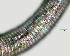  ( - NID-N1258)  @11 [ ] CreativeCommons - Attribution Non-Commercial (2017) Tom Powers University of Nebraska
