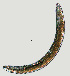  ( - NID-N1260)  @11 [ ] CreativeCommons - Attribution Non-Commercial (2017) Tom Powers University of Nebraska