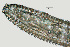  ( - NID-N1355)  @11 [ ] CreativeCommons - Attribution Non-Commercial (2017) Tom Powers University of Nebraska