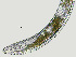  ( - NID-N1364)  @11 [ ] CreativeCommons - Attribution Non-Commercial (2017) Tom Powers University of Nebraska