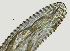  ( - NID-N1367)  @11 [ ] CreativeCommons - Attribution Non-Commercial (2017) Tom Powers University of Nebraska