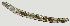  (Mesocriconema sp. HG24 - NID-N1384)  @11 [ ] CreativeCommons - Attribution Non-Commercial (2017) Tom Powers University of Nebraska