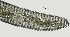  ( - NID-N1384)  @11 [ ] CreativeCommons - Attribution Non-Commercial (2017) Tom Powers University of Nebraska