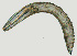  ( - NID-N1404)  @11 [ ] CreativeCommons - Attribution Non-Commercial (2017) Tom Powers University of Nebraska