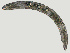  ( - NID-N1418)  @11 [ ] CreativeCommons - Attribution Non-Commercial (2017) Tom Powers University of Nebraska