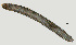  ( - NID-N1465)  @11 [ ] CreativeCommons - Attribution Non-Commercial (2016) Tom Powers University of Nebraska