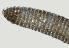  ( - NID-N1465)  @11 [ ] CreativeCommons - Attribution Non-Commercial (2016) Tom Powers University of Nebraska
