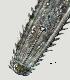  ( - NID-N1484)  @11 [ ] CreativeCommons - Attribution Non-Commercial (2016) Tom Powers University of Nebraska