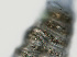  ( - NID-N1484)  @11 [ ] CreativeCommons - Attribution Non-Commercial (2016) Tom Powers University of Nebraska