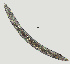  ( - NID-N1490)  @11 [ ] CreativeCommons - Attribution Non-Commercial (2017) Tom Powers University of Nebraska