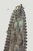  ( - NID-N2179)  @11 [ ] CreativeCommons - Attribution Non-Commercial (2017) Tom Powers University of Nebraska