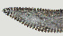  ( - NID-N2179)  @11 [ ] CreativeCommons - Attribution Non-Commercial (2017) Tom Powers University of Nebraska