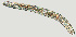  ( - NID-N2262)  @11 [ ] CreativeCommons - Attribution Non-Commercial (2017) Tom Powers University of Nebraska