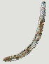  ( - NID-N2269)  @11 [ ] CreativeCommons - Attribution Non-Commercial (2017) Tom Powers University of Nebraska
