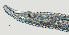  ( - NID-N2293)  @11 [ ] CreativeCommons - Attribution Non-Commercial (2017) Tom Powers University of Nebraska