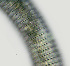  ( - NID-N2337)  @11 [ ] CreativeCommons - Attribution Non-Commercial (2017) Tom Powers University of Nebraska