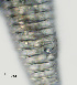  ( - NID-N2382)  @11 [ ] CreativeCommons - Attribution Non-Commercial (2017) Tom Powers University of Nebraska