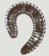  ( - NID-N238)  @11 [ ] CreativeCommons - Attribution Non-Commercial (2017) Tom Powers University of Nebraska