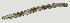  ( - NID-N2517)  @11 [ ] CreativeCommons - Attribution Non-Commercial (2017) Tom Powers University of Nebraska