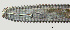  ( - NID-N2518)  @11 [ ] CreativeCommons - Attribution Non-Commercial (2017) Tom Powers University of Nebraska