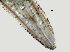  ( - NID-N254)  @11 [ ] CreativeCommons - Attribution Non-Commercial (2017) Tom Powers University of Nebraska