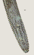  ( - NID-N2572)  @11 [ ] CreativeCommons - Attribution Non-Commercial (2017) Tom Powers University of Nebraska