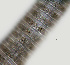  ( - NID-N2583)  @11 [ ] CreativeCommons - Attribution Non-Commercial (2017) Tom Powers University of Nebraska