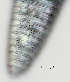  ( - NID-N2618)  @11 [ ] CreativeCommons - Attribution Non-Commercial (2017) Tom Powers University of Nebraska