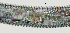  ( - NID-N2619)  @11 [ ] CreativeCommons - Attribution Non-Commercial (2017) Tom Powers University of Nebraska