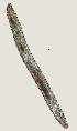  ( - NID-N2628)  @11 [ ] CreativeCommons - Attribution Non-Commercial (2017) Tom Powers University of Nebraska