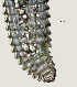  ( - NID-N2629)  @11 [ ] CreativeCommons - Attribution Non-Commercial (2017) Tom Powers University of Nebraska