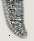  ( - NID-N2629)  @11 [ ] CreativeCommons - Attribution Non-Commercial (2017) Tom Powers University of Nebraska