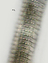  ( - NID-N2630)  @11 [ ] CreativeCommons - Attribution Non-Commercial (2017) Tom Powers University of Nebraska