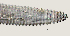  ( - NID-N2686)  @11 [ ] CreativeCommons - Attribution Non-Commercial (2017) Tom Powers University of Nebraska